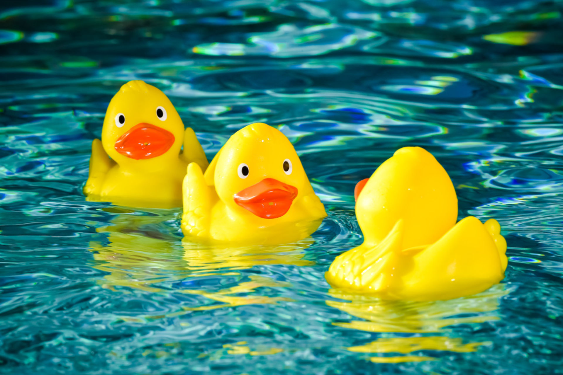 Kleine Teiche Mit Wasserfall Fotos | Acuratola.com